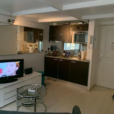Apartment 26 Rue De La Buffa Nice